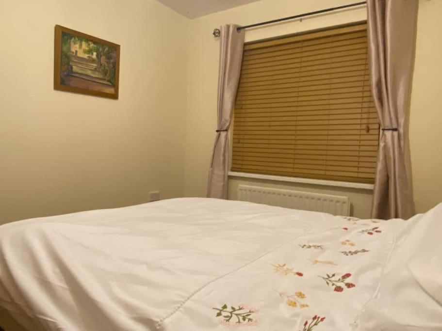 Walnut Apartment Larne Extérieur photo